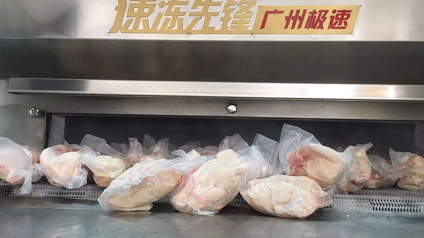 Liquid nitrogen blast freezer equipment for chicken freezing