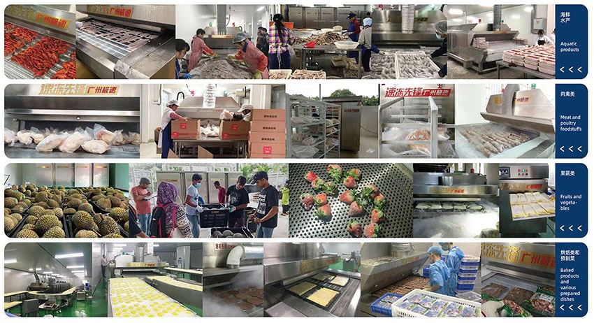 Liquid nitrogen freezing machine IQF application in various kind of food