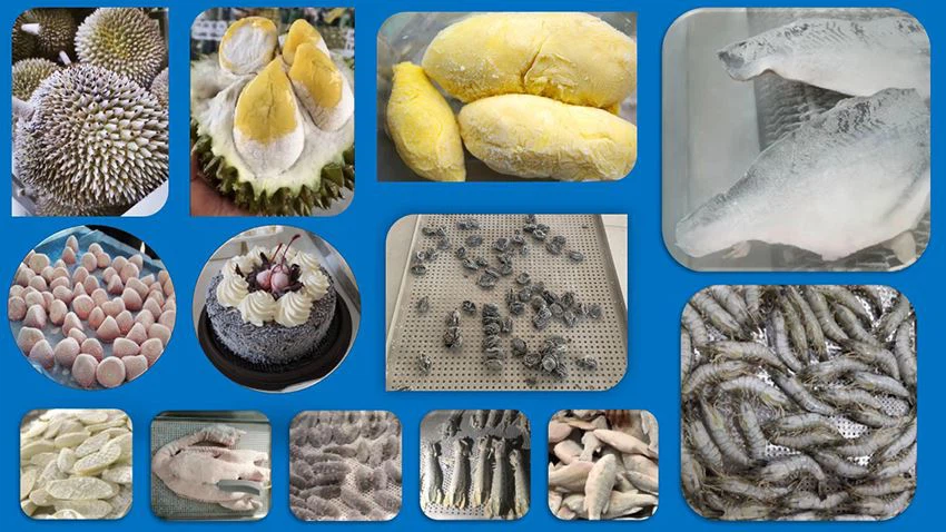 High flexibility of the applicable products of the liquid nitrogen freezer