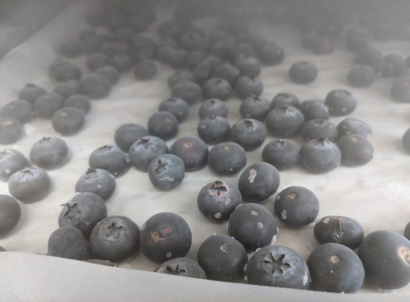 How Liquid Nitrogen Flash Freezing Affects the Nutritional Components of Food