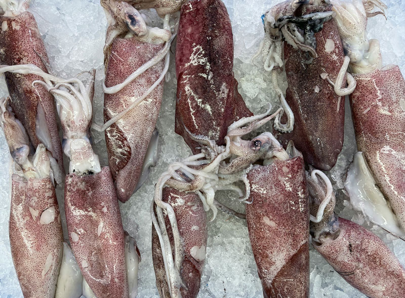 What types of food can be frozen in a Liquid Nitrogen Freezer?